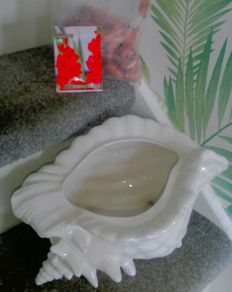 Large Shell / Plant Pot (& free 25 Gladiolus Bulbs!)