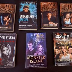 Buffy the Vampire Slayer Book Bundle