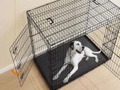 Foldable Dog Cage XXL  with 2 Doors Removable Plastic Tray  Heavy Duty Metal Wire Crate for Large Dogs
