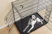 Foldable Dog Cage XXL  with 2 Doors Removable Plastic Tray  Heavy Duty Metal Wire Crate for Large Dogs