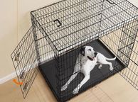 main image for ad Foldable Dog Cage XXL  with 2 Doors Removable Plastic Tray  Heavy Duty Metal Wire Crate for Large Dogs