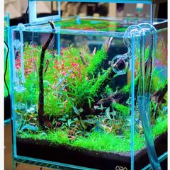 ADA Cube Garden 30-C - 30 x 30 x 30 cm