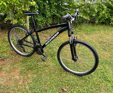 Large Frame Rockrider St50 Fully Serviced