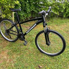 Large Frame Rockrider St50 Fully Serviced