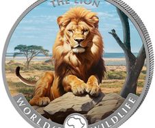 2025 Congo 20 Francs 1 oz Silver Bullion Coloured Coin World's Wildlife The Lion (In Capsule)
