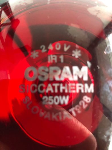 2 250w Siccatherm Light Bulbs