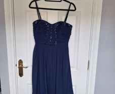 Coast Navy Dress
