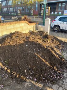 top soil
