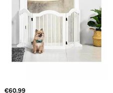 dog gate