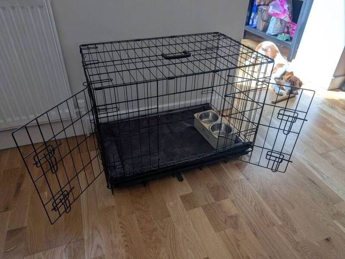 dog cage