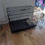 dog cage Image 3