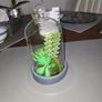 Cactus artificial Image 3