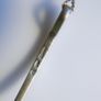 Sterling Silver 925 Necklace and Pendant L16" - 3,92g Image 4