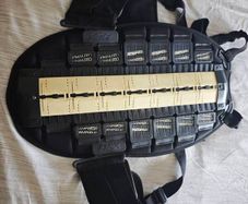 Knox Aegis Back Protector