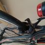 Orbea bike Image 4