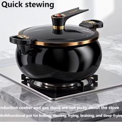 Non-Stick Cook Pot Compatible for Gas & Induction Stoves, new, unopened.