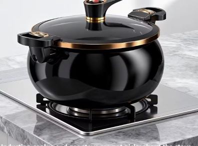 Non-Stick Cook Pot Compatible for Gas & Induction Stoves, new, unopened.