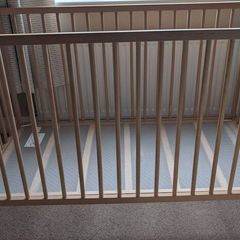 Cot - Sniglar