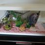 Fish Tank Image 3