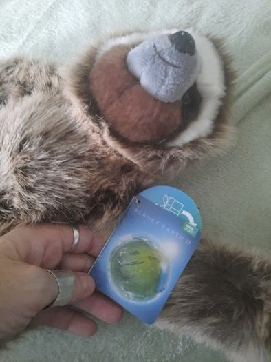 planet earth posh paws sloth