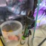 fish tank 20-25l Image 5