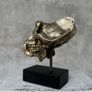 Gorilla Skull - Polished Bronze (Signed) Image 8