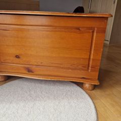 pinewood trunk