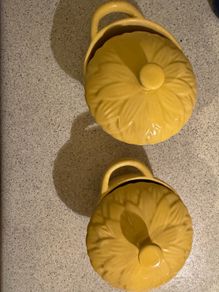2x mini casserole