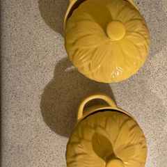 2x mini casserole