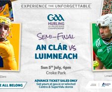 Clare vs limerick great seat 305