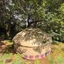 Yurt for sale Image 6
