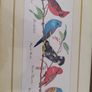 Decorated Arts Framed Matted Wild Bird Print Signed Edwards Image 6