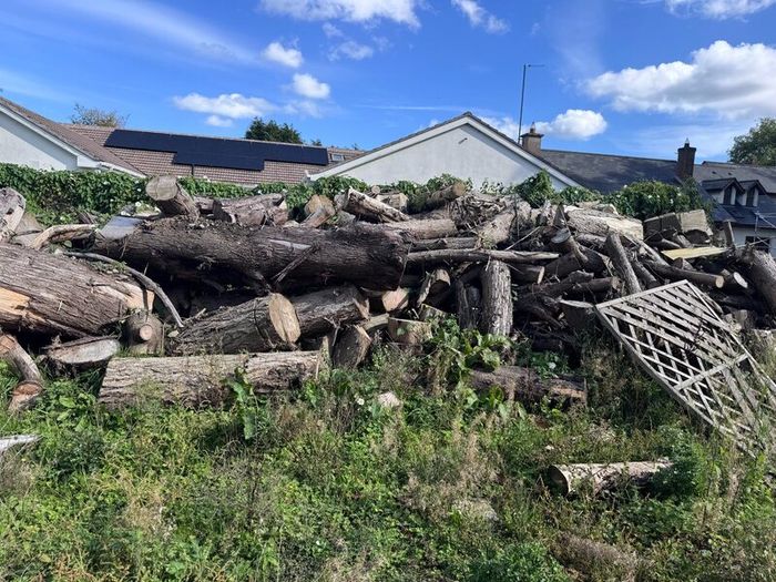 Dry Logs for sale.