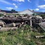 Dry Logs for sale. Image 2