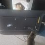 LG telly Image 3