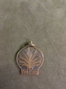 Feis Sligigh Bronze Medal