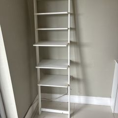 Ladder shelf