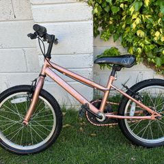bike Apollo