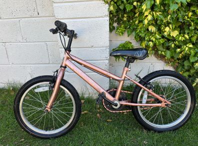 bike Apollo