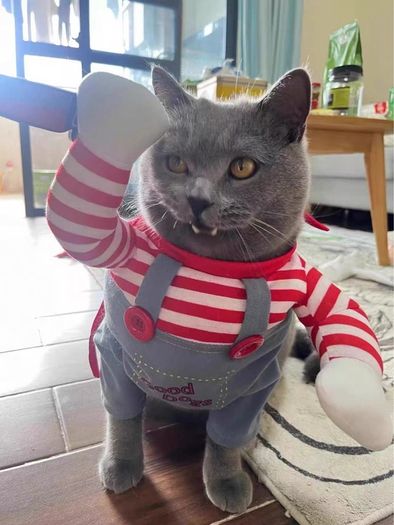 Pet Halloween Fun Killer Outfit
