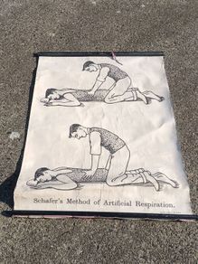 1940's Browne & Nolan Dublin Ltd Medical Poster(40x30")