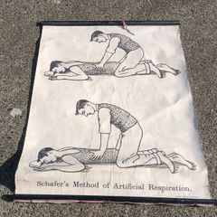 1940's Browne & Nolan Dublin Ltd Medical Poster(40x30")