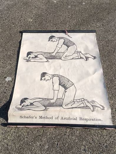 1940's Browne & Nolan Dublin Ltd Medical Poster(40x30")