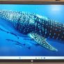 Hp Probook 455 G8 Notebook Pc - Ryzen 5 5600u - 16gb Ram - 256gb Nvme Image 6
