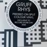 Gruff Rhys (Super Furry Animals) -  (Don't) Welcome The Plague As A Blessing - The Babelsberg Basement Files Image 2