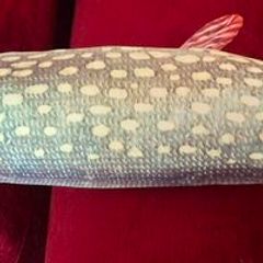 Cloth Fish
