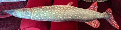 Cloth Fish