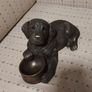 Genesis Labrador Pup Image 4