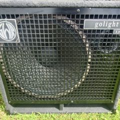 Swr Bass  Cabinets 1x15