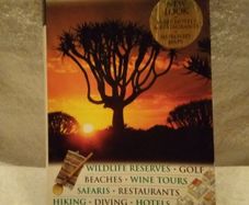 DK Eyewitness Travel Guide: South Africa by Michael Brett (Paperback)